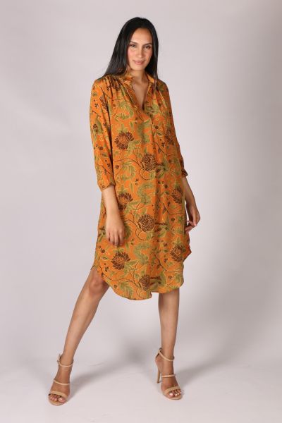 Anupamaa Roma Garden Dress In Tan
